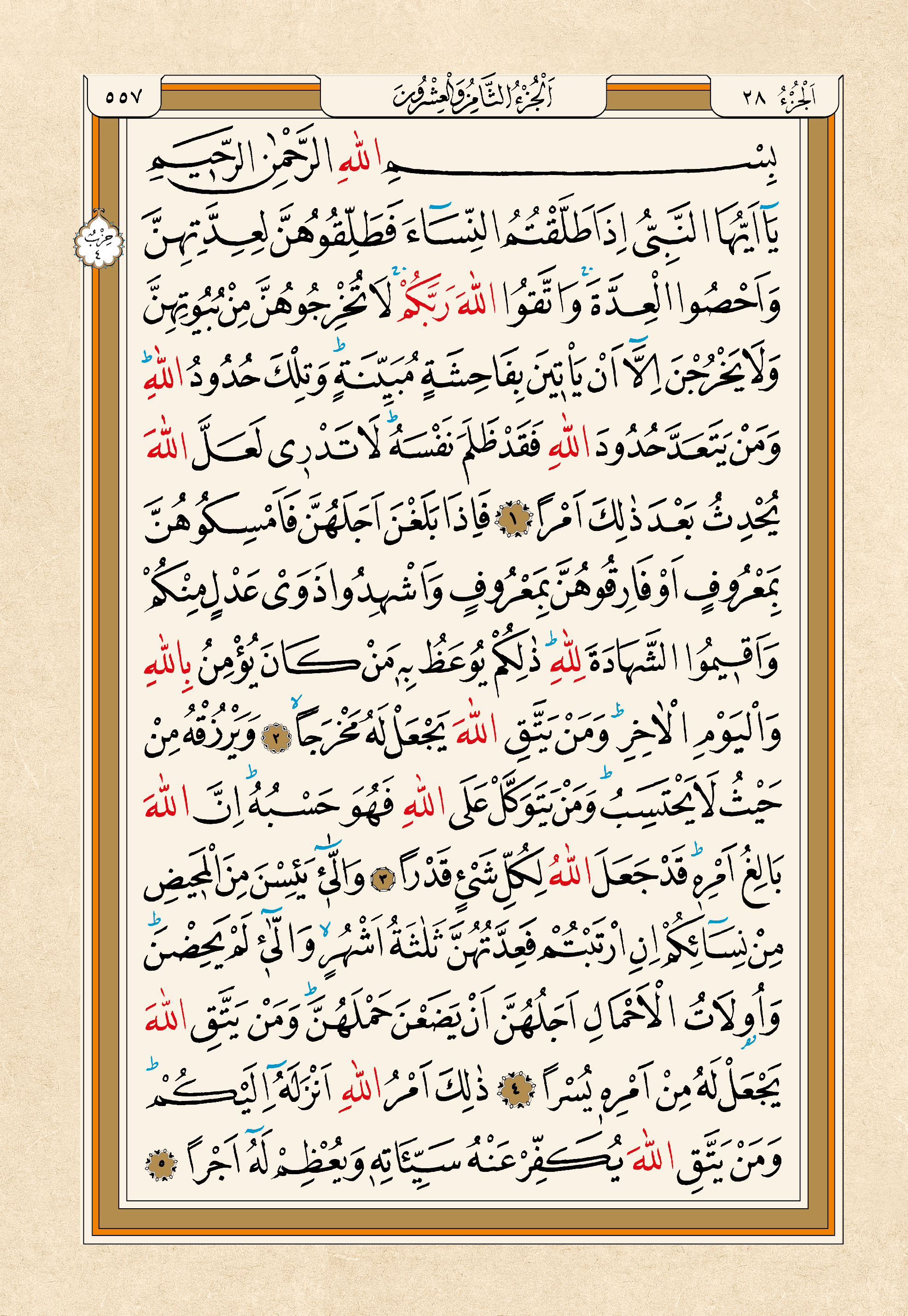Kur'an-ı Kerim — 557. sayfa