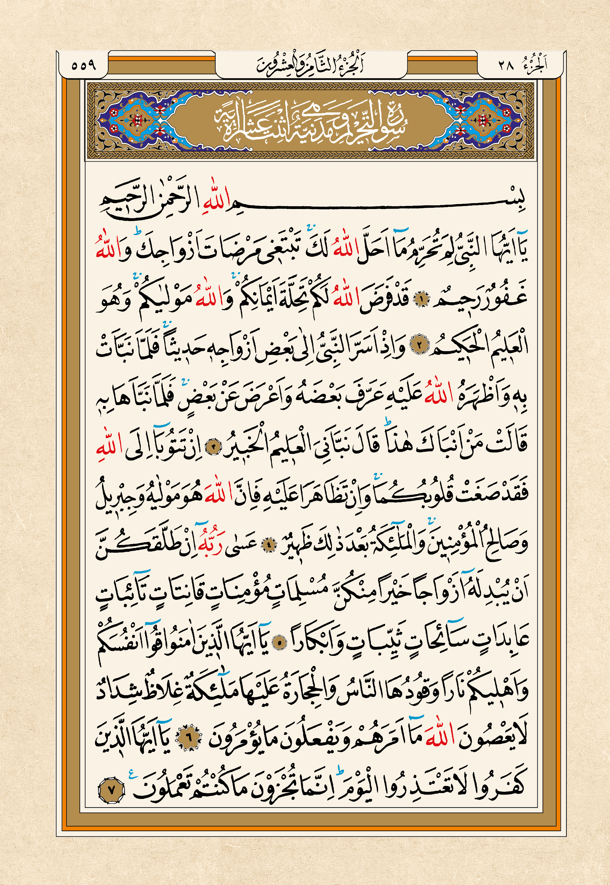Kur'an-ı Kerim — 559. sayfa