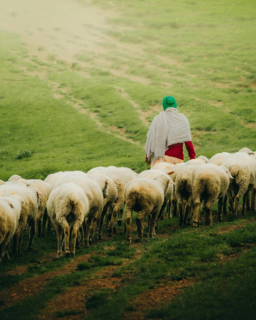 شخصُ الإنسان كنوعِ غيره