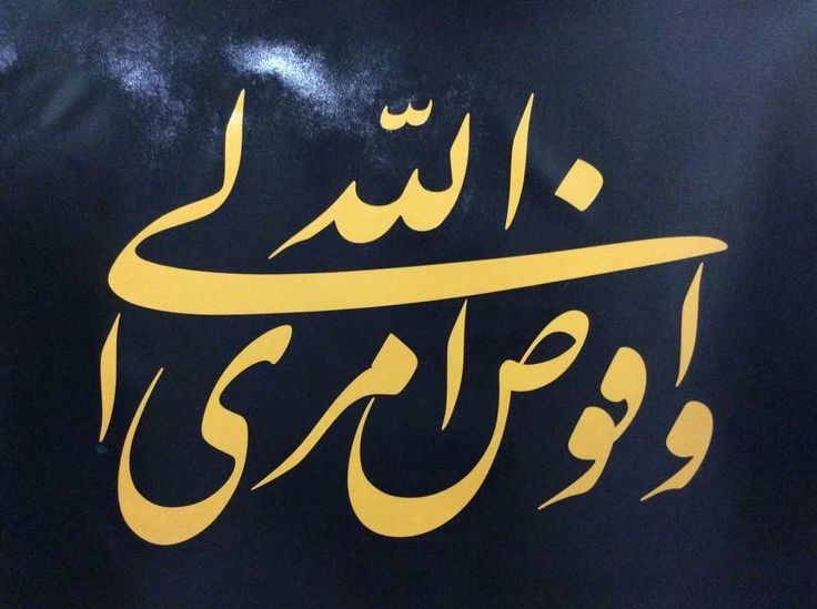 إنَّ أَهَمَّ مَشرَبٍ لَدَى أَهلِ الفَضِيلةِ هو الِاندِماجُ في المُجتَمَعِ بالعَجزِ والفَقرِ والتَّواضُعِ.. ولَقد مَضَت حَياتُنا وللهِ الحَمدُ وما زالَت كَذلِك تَمضِي على وَفقِ هذا المَشرَبِ، فأَنا لا أَدَّعِي مُتَفاخِرًا أنَّني صاحِبُ فَضِيلةٍ، ولكِن أَقُولُ تَحَدُّثًا بنِعمةِ اللهِ عَلَيَّ وبنِيّةِ الشُّكرِ له سُبحانَه: قد أَحْسَنَ إِليَّ جَلَّ وعَلا بفَضلِه وكَرَمِه فوَفَّقَني إلى العَمَلِ لِلعُلُومِ الإِيمانيّةِ والقُرآنيّةِ وإِدراكِها وفَهْمِها، فصَرَفتُ طَوالَ حَياتِي -للهِ الحَمدُ- هذا الإِحسانَ الإِلٰهِيَّ بتَوفِيقٍ مِنه تَعالَى، في مَصالِحِ هذه الأُمّةِ المُسلِمةِ، وبَذَلتُه في سَبِيلِ سَعادَتِها، ولم يَكُ في أيِّ وَقتٍ وَسِيلةً لِلإِكراهِ والتَّسَلُّطِ على الآخَرِينَ.