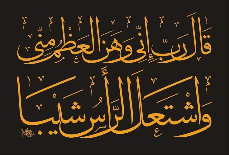 يا مَن بَلَغتُم سِنَّ الكَمالِ، أيُّها الإِخوةُ الشُّيُوخُ الأَعِزّاءُ، ويا أيَّتُها الأَخَواتُ العَجائِزُ المُحتَرَماتُ.. إنَّني مِثلُكُم شَيخٌ كَبِيرٌ، سأَكتُبُ لَكُم بَعضَ ما مَرَّ علَيَّ مِن أَحوالٍ، وما وَجَدتُه بَينَ حَينٍ وآخَرَ مِن أَبوابِ الأَمَلِ وبَوارِقِ الرَّجاءِ في عَهدِ الشَّيخُوخةِ، لَعَلَّكُم تُشارِكُونَني في أَنوارِ السَّلْوةِ المُشِعّةِ مِن تِلكُمُ الرَّجايا والآمالِ.. إنَّ ما رَأَيتُه مِنَ الضِّياءِ، وما فَتَحَه اللهُ علَيَّ مِن أَبوابِ النُّورِ والرَّجاءِ، إنَّما شاهَدتُه حَسَبَ استِعدادِي النّاقِصِ وقابِلِيّاتِي المُشَوَّشةِ، وستَجعَلُ استِعداداتُكُمُ الخالِصةُ الصّافِيةُ -بإِذنِ اللهِ- ذلك الضِّياءَ أَسطَعَ وأَبهَرَ مِمّا رَأَيتُه، وذلِكُمُ الرَّجاءَ أَقوَى وأَمتَنَ مِمّا وَجَدتُه.